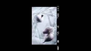 The Power of Light