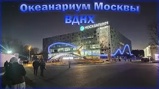 Москвариум ВДНХ / прогулка по океанариуму Москвы
