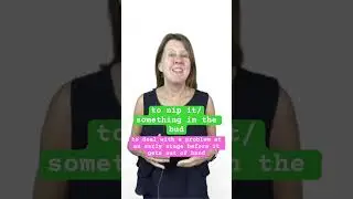 TO NIP IT/SOMETHING IN THE BUD - Advanced Everyday English 