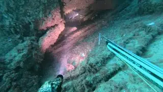 Холодные дома горбыля  Подводная охота в Черном море