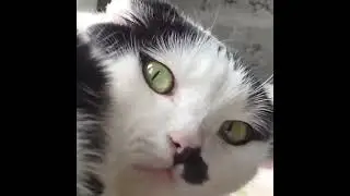воплощение зла 