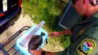 this fish almost cost me $500 - fish shrink on ice?