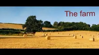 The farm
