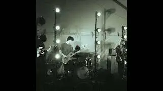 Daydream Twins - Carpop