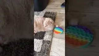 Всё в порядке!!!