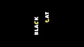Cromosoma - Black Cat! (Original Mix) [AUDIO/ESPECTRO]