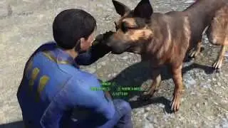 Fallout 4 - игровой процесс