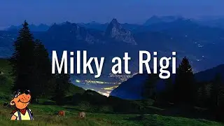 Do Cows Graze in Moonlight? Exploring Milky Nights at Rigi ･ Shutter Expeditions