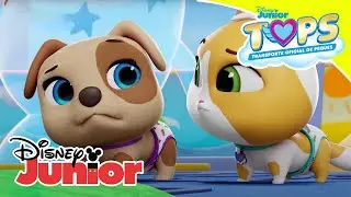 T.O.P.S. Transporte Oficial de Peques: Compilado musical | Disney Junior Oficial