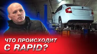 A car repair shop owner discusses ALL ŠKODA RAPID PROBLEMS. How to identify a ŠKODA RAPID after a...