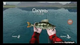 ИГРАЮ В РЫБАЛКУ