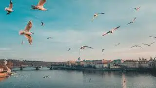 أجمل صور مدينة براغ التشيك - Best Pictures Prague, Czech