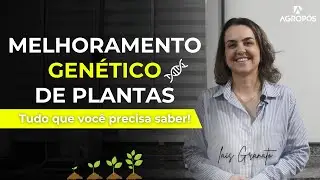 Tudo sobre melhoramento genético de plantas
