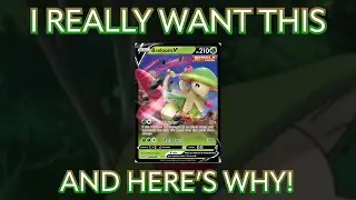 The Pokémon Card I've Been Hunting for a Year