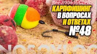 Карпфишинг в вопросах и ответах #48, Колесников А.