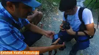 Kelebek Vadisi Yolculuğu