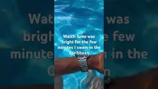 Seiko 5 update