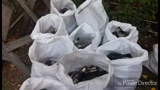 Сбор бутылок на стеклобой. Подчищаю пляж.