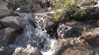 Cuyamaca Hike in San Diego (Original Music)