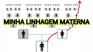 ORIGEM MATERNA PELO DNA MITOCONDRIAL.