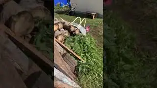 Газонокосилка альпина, а я ее Альбинка зову 🤣🤣🤣