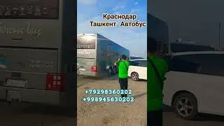 Краснодар Ташкент Автобус #автобус #тошкент #ростов #автобус #тошкент #ростов #анапа #новороссийск