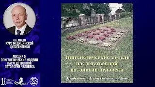 И.Н. Лебедев - Курс медицинской цитогенетики. Лекция 5