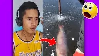 ¿Como se congela un PEZ en el agua ? 😲 #Pezsecongelo #Reacciones