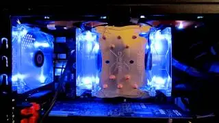 Zalman CNPS10X Performa on an Asrock 990FX Extreme 4 with 2 120mm's