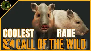 LUECISTIC PECCARY| thehunter: Call of the Wild