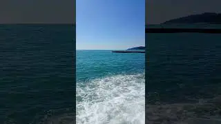В Сочи вода 18°🐬🤩🌴😇
