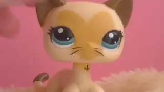LPS - Q&A ! (#1 - Lighting Goals!)