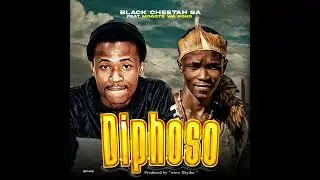 Black cheetah x Mogote wa poko _ Diphoso (prd by wave Rhyder) official Audio