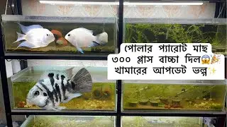 Polar parrot fish Update vlog✨😇 #aquarium #dhaka #guppy #guppyfish #foryou #sylhet #chittagong #bd