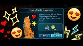 ✨️Cat Hogwarts and Friendship! | Harry Potter Hogwarts Mystery🪄