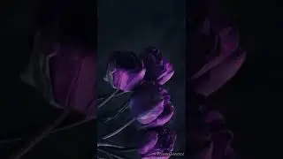 ♥️ Мурат_Тхагалегов_Цветы♥️
