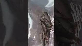 дети на рыбалке
