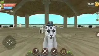 Cheetah becuase I ran out of video ideas ._. (Only if you want can you plz give me ideas)