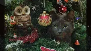 Коты и елка-смешные животные