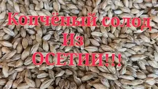 Копчёный солод. Из ОСЕТИИ!!!