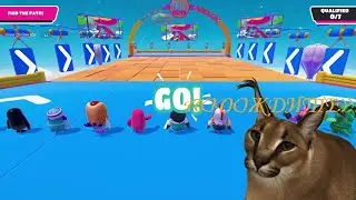 Я попал в фолл гайс !!!!! УГАР И БЕЗУМИЕ В ФОЛЛ ГАЙСЕ!!!!