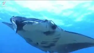 石垣島生活凝縮version