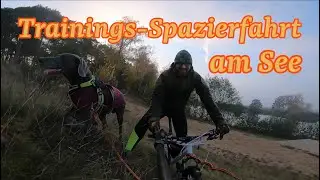 Ilais Trainingslauf am Rad und See