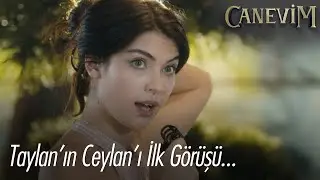 Ceylan ve Taylan'ın tanışması! - Canevim