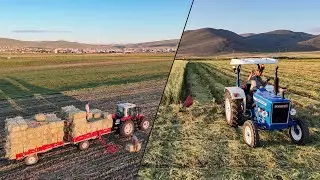 Harvesting + Gathering | Ardahan Adventure Part -2