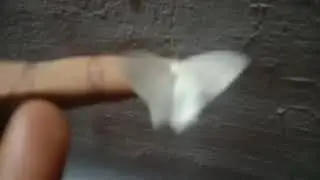 my beautiful white butterfly 🦋