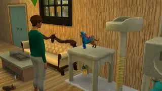 Видео 21