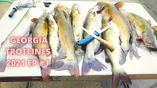 Trotlines | Huge Channel Cats | 2021 Ep # 1 