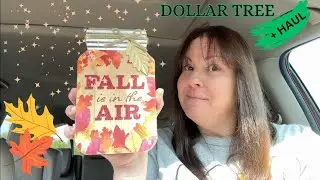 DOLLAR TREE  SHOPPING + HAUL IN MY VEHICLE