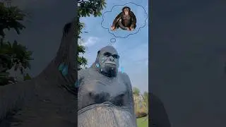 Cute monkey Crying 🥲❤️|